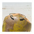 Bransoleta bangle bead romb z cyr gł.opr JA805 GOLD próba 925