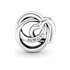 Charms PANDORA  PE 791507C00 próba 925
