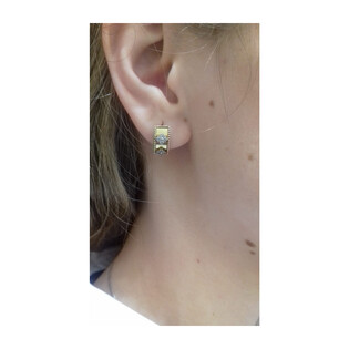 Kolczyki złote kwiatki z cyrkoniami na blaszce/ang.zap. S3 ZHT-52 próba 375