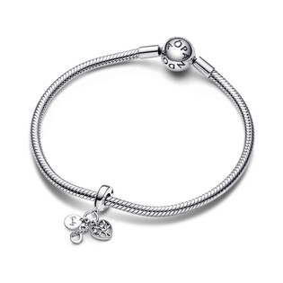 Zawieszka PANDORA  PE 792201C01 próba 925