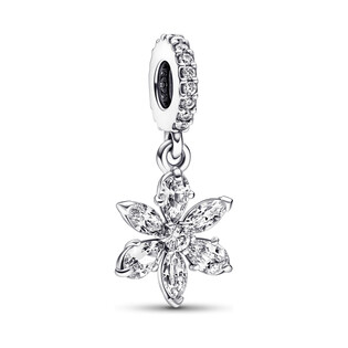 Okrągły lśniący charms-zawieszka ze zbiorem roślin Pandora 792382C01 próba 925