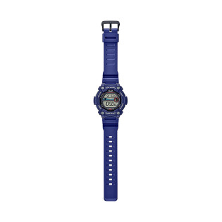 Męski Zegarek Casio WS-1300H-2AVEF Klasyczny - JubilerSezam.pl