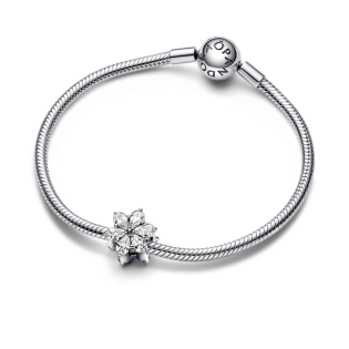 Charms Pandora Zbiór Roślin 792623C01 - JubilerSezam.pl