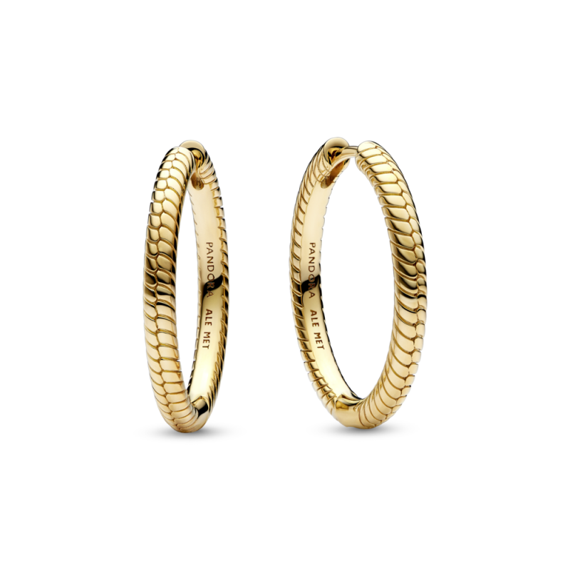 Kolczyki obręcze Pandora Moments Charm 269532C00