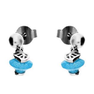 Kolczyki srebrne z niebieskim kamieniem i listkiem TB 09850a próba 925