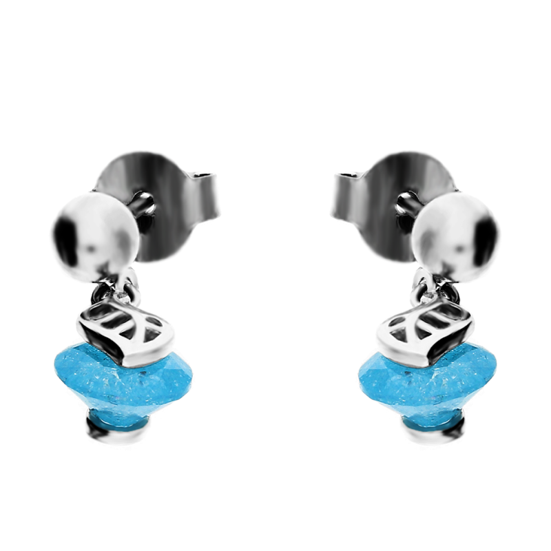 Kolczyki srebrne z niebieskim kamieniem i listkiem TB 09850a próba 925