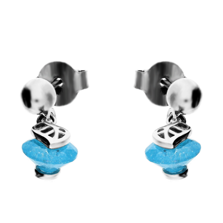 Kolczyki srebrne z niebieskim kamieniem i listkiem TB 09850a próba 925