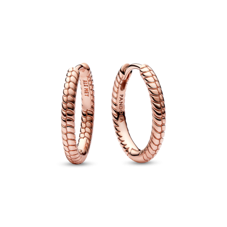 Małe kolczyki obręcze Pandora Moments Charm 282728C00