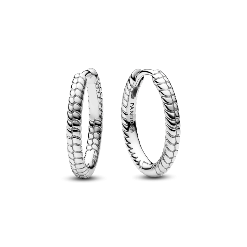 Małe srebrne kolczyki Pandora Moments Charm 292728C00 - JubilerSezam.pl