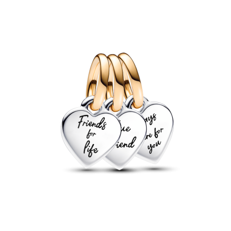 Dwutonowa Zawieszka Przyjaźń Pandora - JubilerSezam.pl