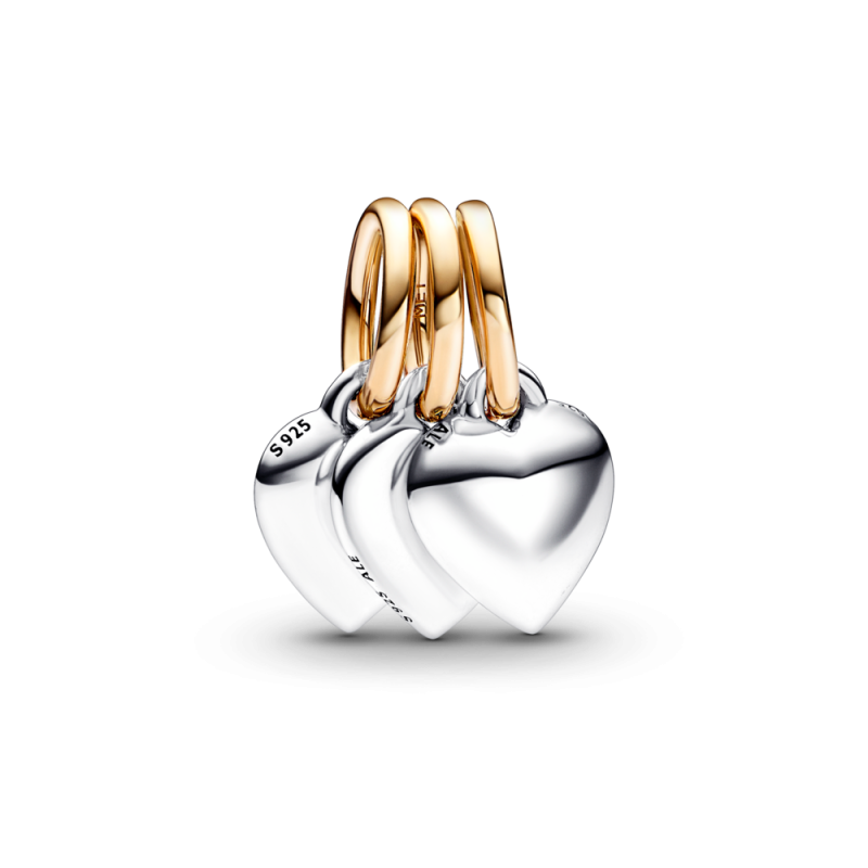 Dwutonowa potrójna zawieszka Przyjaźń Pandora 762722C00