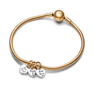 Dwutonowa Zawieszka Przyjaźń Pandora - JubilerSezam.pl