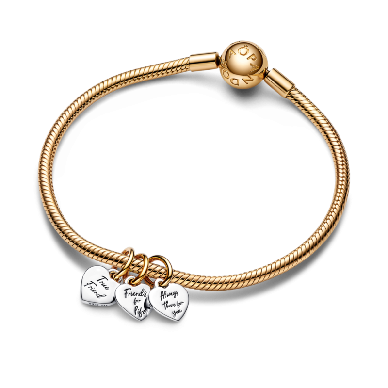 Dwutonowa Zawieszka Przyjaźń Pandora - JubilerSezam.pl