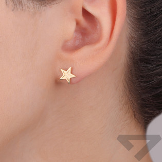 Kolczyki złote gwiazdka ramka z matowym zdobieniem/sztyft MZ T42-E-LE-3-BM próba 585