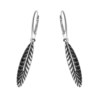 Kolczyki srebrne pióro blask/big.zam. SZ310A próba 925