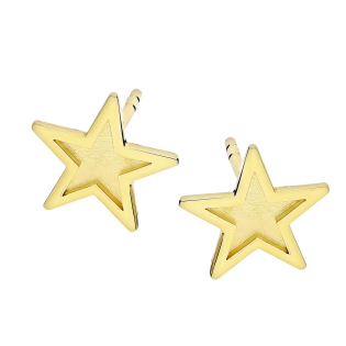 Kolczyki złote gwiazdka ramka z matowym zdobieniem/sztyft MZ T42-E-LE-3-BM próba 585