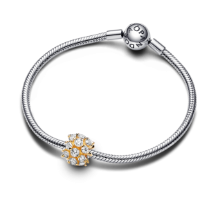 Lśniący okrągły charms Pandora 763234C01
