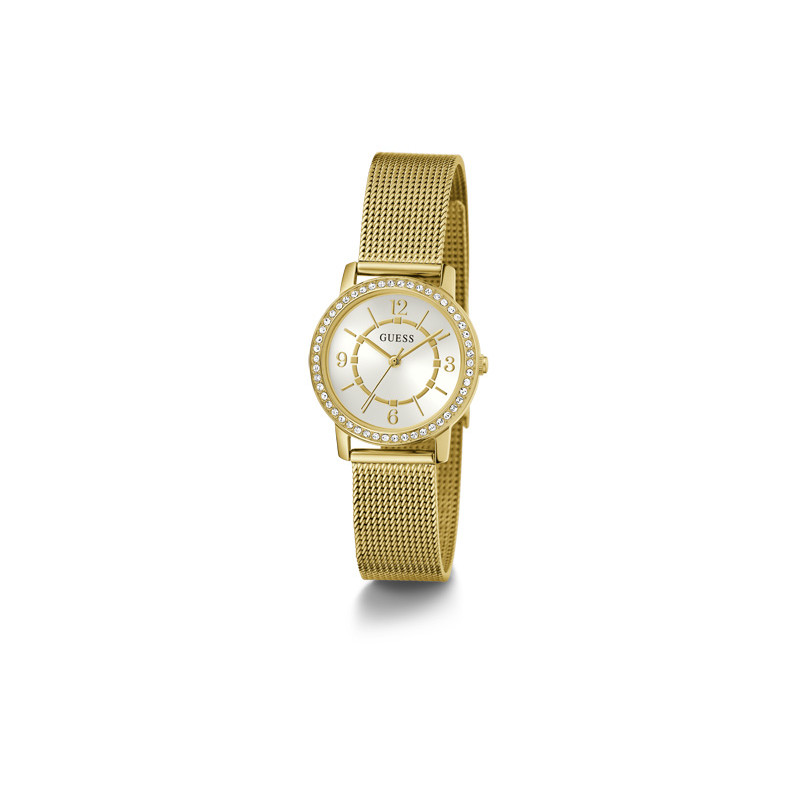 Zegarek damski Guess GW0534L2