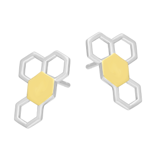 Kolczyki srebrne plaster miodu ze złotą blaszką/sztyft PX G0752.50_AU375 blaszka gold