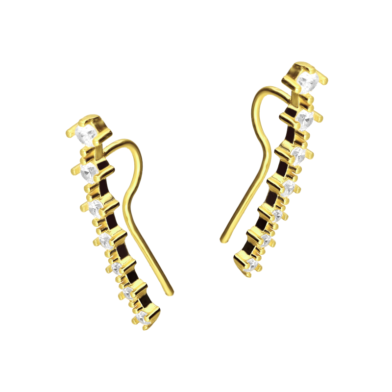 Kolczyki pozłacane na płatek z białymi cyrkoniami PW549-1 GOLD próba 925