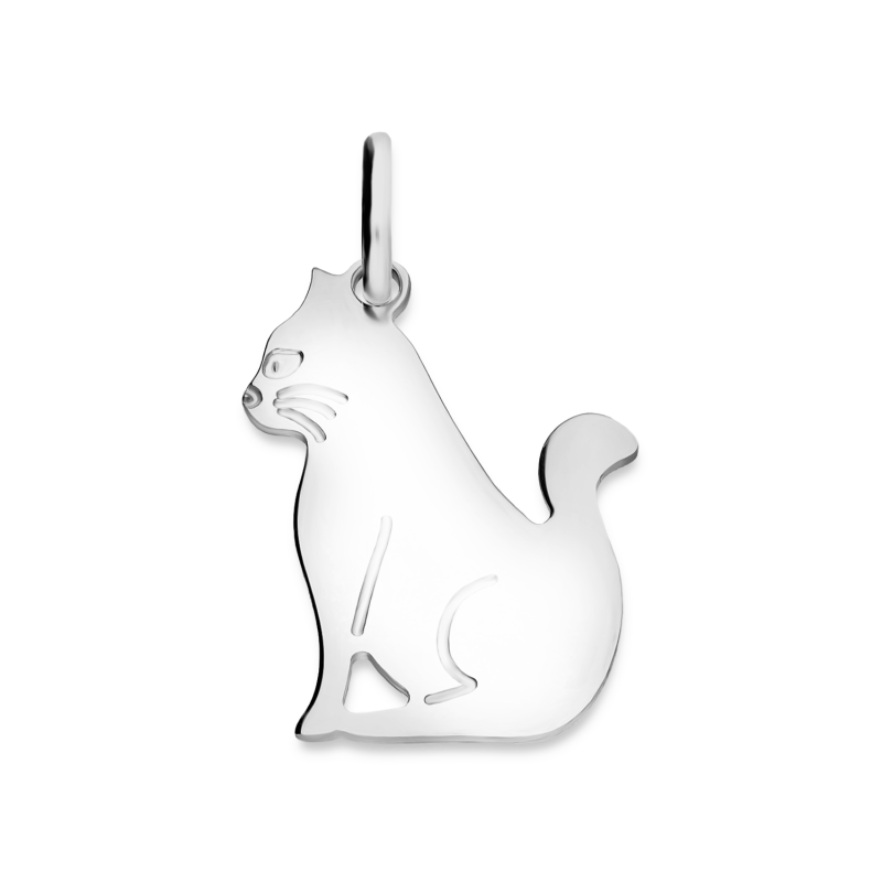 Zawieszka srebrna kot blask