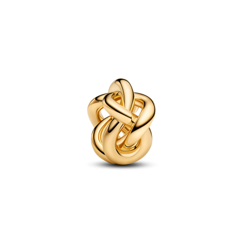 Charms Pandora z symbolem nieskończoności 763755C00