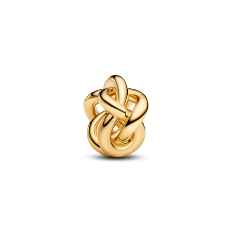 Charms Pandora z symbolem nieskończoności 763755C00