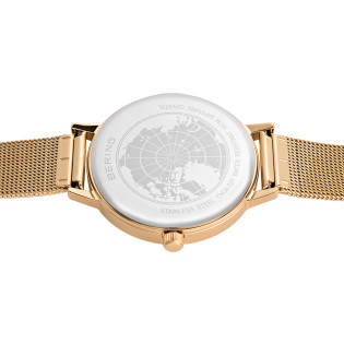 Zegarek Bering dla kobiet 13434-332