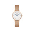 Zegarek damski Daniel Wellington DW00100681