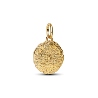 Medalion Pandora Lew 763974C01