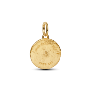 Medalion Pandora Jaskółka 764082C01