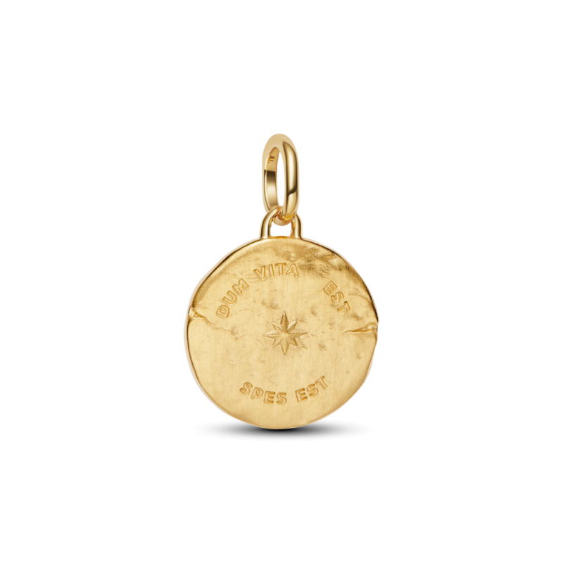 Medalion Pandora Jaskółka 764082C01