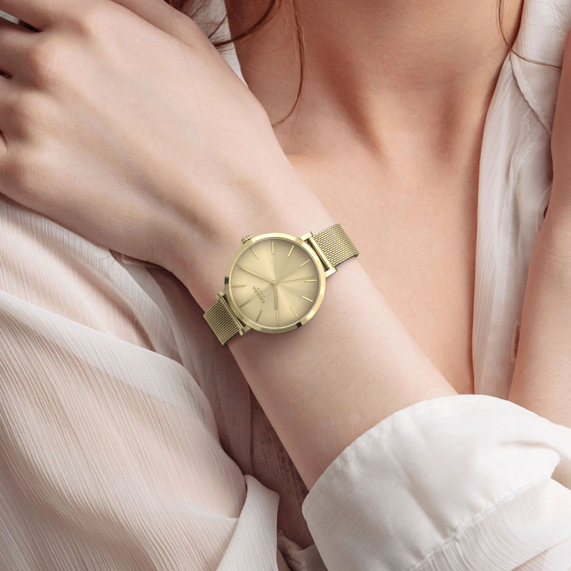 Cicada Milano złoty zegarek damski szampański mesh G38G06.GG