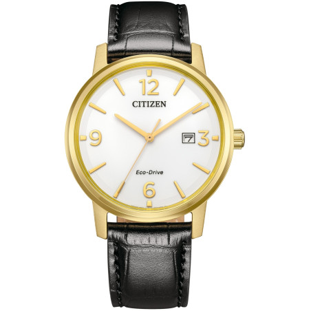 Zegarek męski Citizen Eco Drive BM6756-01A