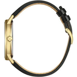 Zegarek męski Citizen Eco Drive BM6756-01A