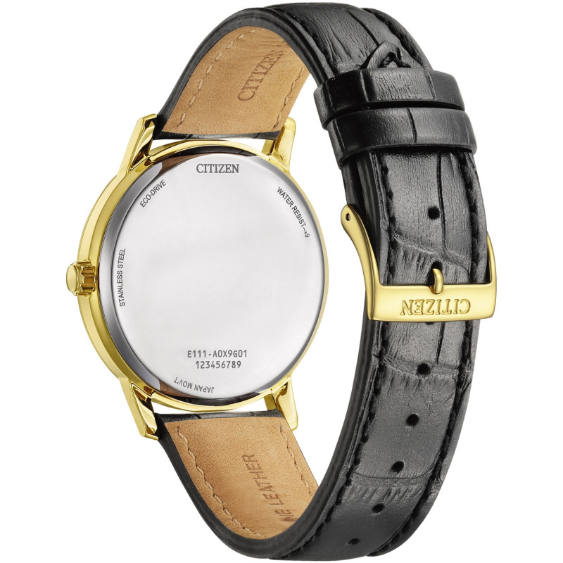 Zegarek męski Citizen Eco Drive BM6756-01A