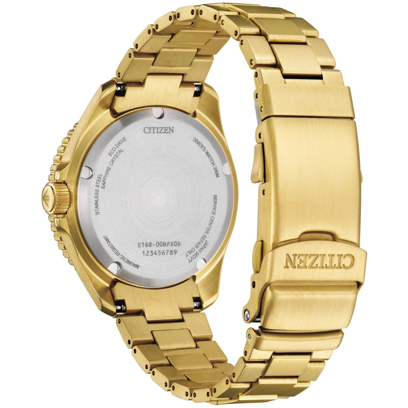 Zegarek męski Citizen Marine BN0262-59W