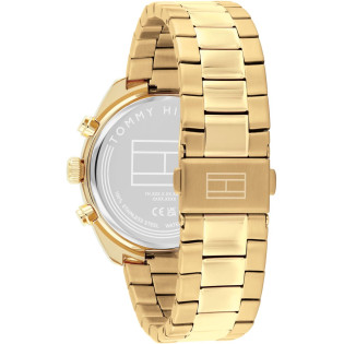 Zegarek męski Tommy Hilfiger Hudson 1710723