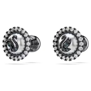 Kolczyki Swarovski Swan z perłą 5680848 | Jubiler Sezam