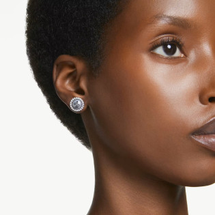 Kolczyki Swarovski SWAN stalowe