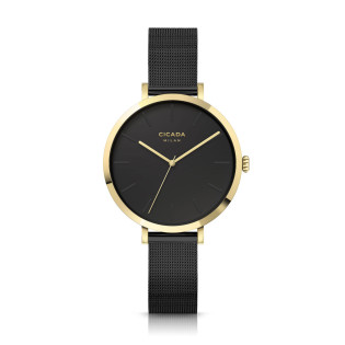 Zegarek Cicada Vulcano G34BC4.BG