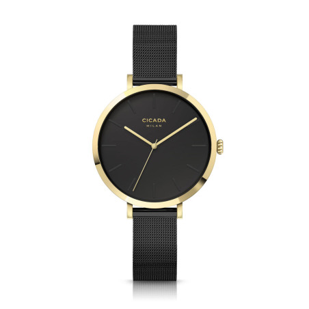 Zegarek Cicada Vulcano G34BC4.BG