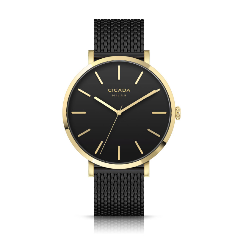 Zegarek Cicada Roma G41B10.BG