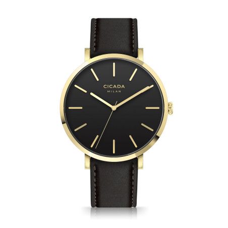 Zegarek Cicada Roma NFC G41BPL.BG