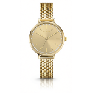 Zegarek damski Cicada Calacatta G38G06.G3