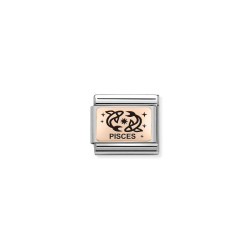 Element do bransoletki Nomination Composable Rose Znak zodiaku Ryby 430112 12 stal i różowe złoto 9 karat