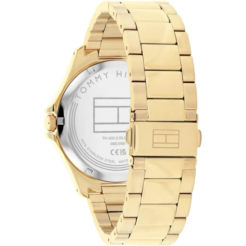 Zegarek męski Tommy Hilfiger Bruce 1792241