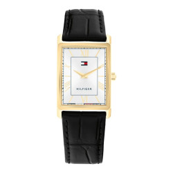 Zegarek męski Tommy Hilfiger Ben 1710772