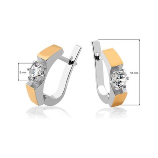 Srebrne kolczyki Eterno z cyrkonią DC 414_AU375